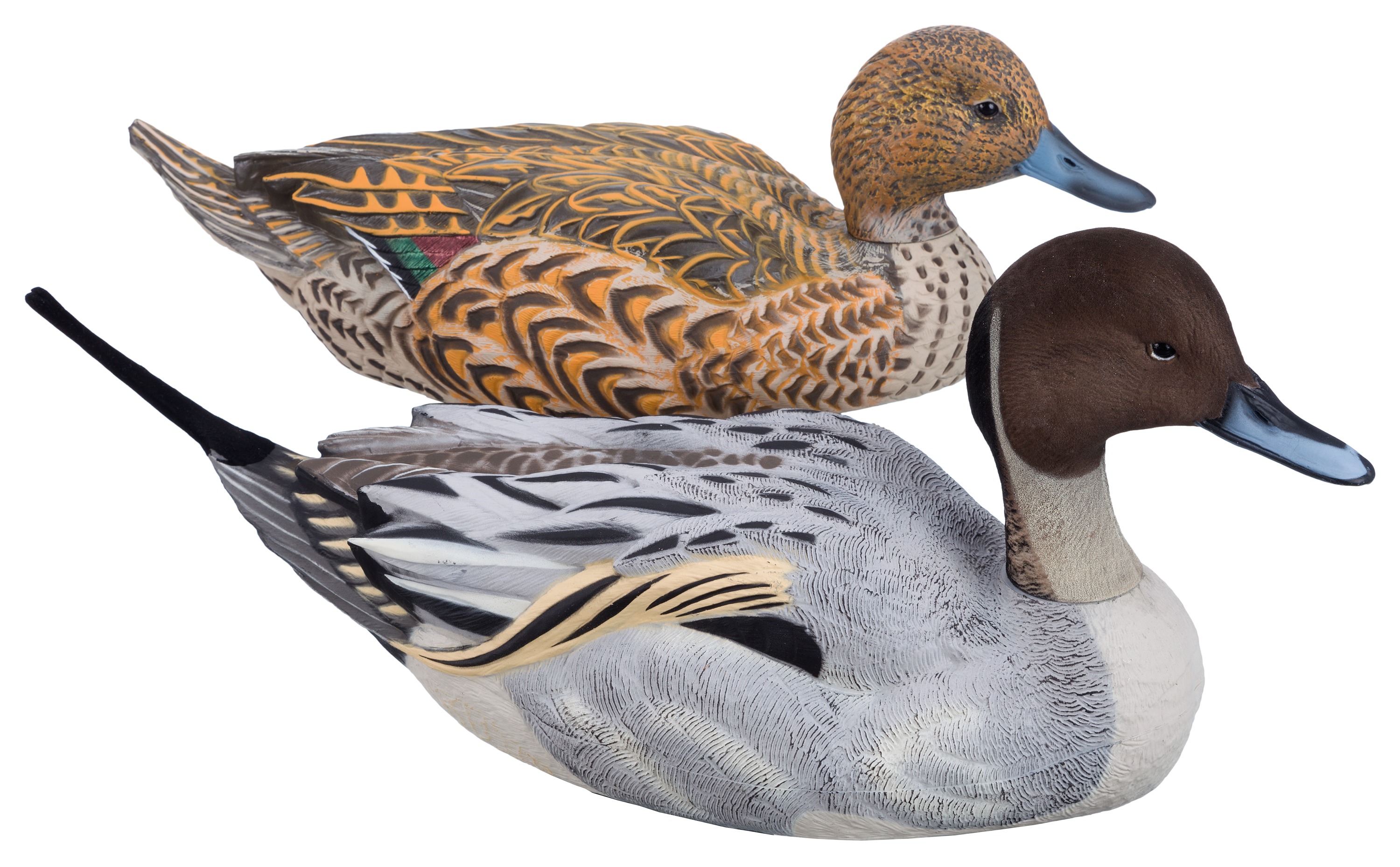 Dakota Decoy XTreme Floating Pintail Decoys Bass Pro Shops